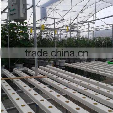 High-tech Greenhouses and Hydroponic Systems photo-2