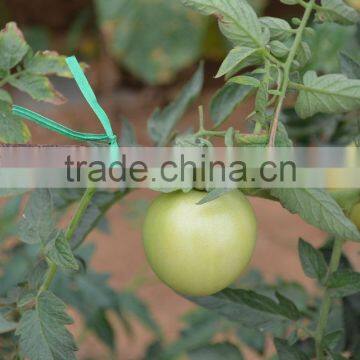 100pcs Per Bag Kraft Paper Twist Tie For Agriculture photo-5