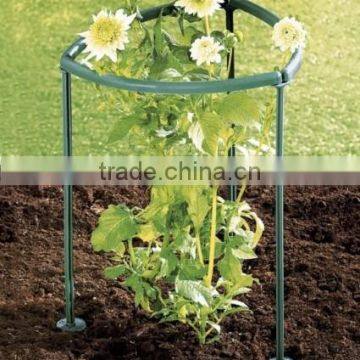 Plants Support 8pc/set,2015 Hot Selling photo-4