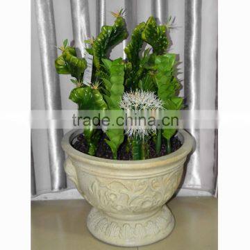 CHY030932 Artificial Ornamental Plant/plastic Decorative Cactus and Succulent photo-2
