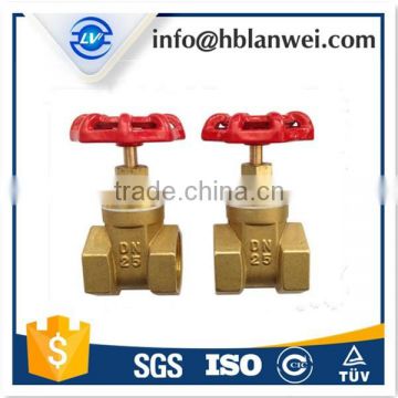 2" inch brass/bronze gate valve pn16