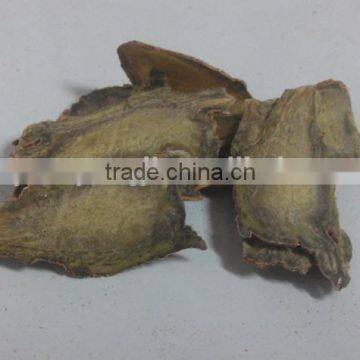 100% Natural Panax Pseudoginseng Notoginseng San Qi or Tian Qi photo-5
