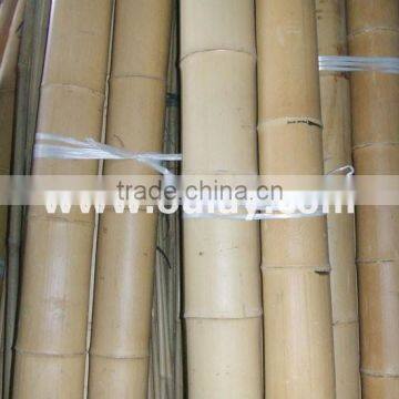 Bamboo stakes HIGH QUALITY