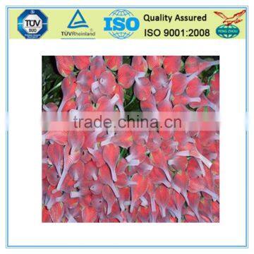 PE Flower Bud Netting photo-4