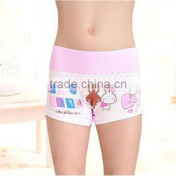 Carton Girl Panty Briefs Seamless Lingerie Kids Underwear for Girls photo-6