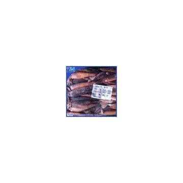 sea frozen illex squid 100-150g fresh for bait