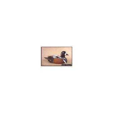 Decoys--Harlequin Duck