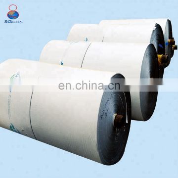 China PE Polyethylene Poly tarpaulin factory