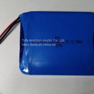 Lithium polymer battery