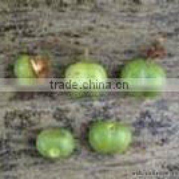 Pygeum africanum extract