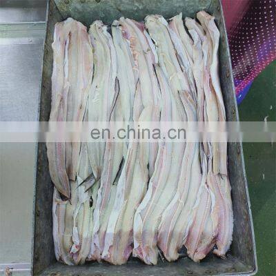 Top Quality Sea Frozen Eel Fish Fillet Frozen Conger Eel Fillet 90-200g Head off Tail off Gutted off