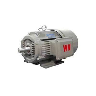 Ye5 Series National Standard Grade 1 Wannan Electric Motor Ye5-3551 2-8/220kw/250kw/660v/b3/ip65/b3/b35/b5, Customizable Upon Special Request photo-3