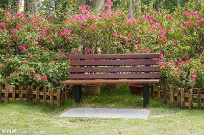 Garden Chair