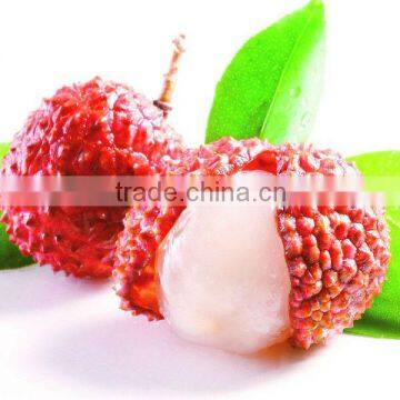 fresh lychee in tin in light syrup from China