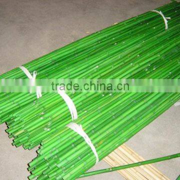 Color bamboo pole Sun-026