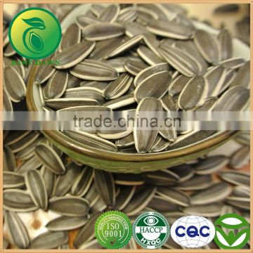 Edible Sunflower Seeds Wholesale For 2015 New Crop