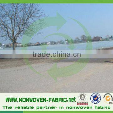 Eco Friendly 100% Polypropylene Spunbond Nonwoven Fabric for Agriculture Fruit Bag, Green House Garden Flower and Plants photo-4
