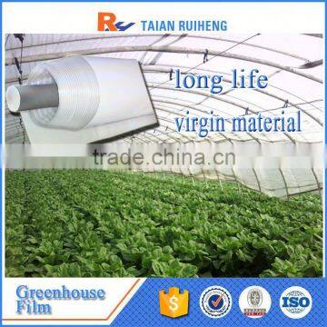 Greenhouse Plastic Cover Film, Agricultural Cover Film photo-2