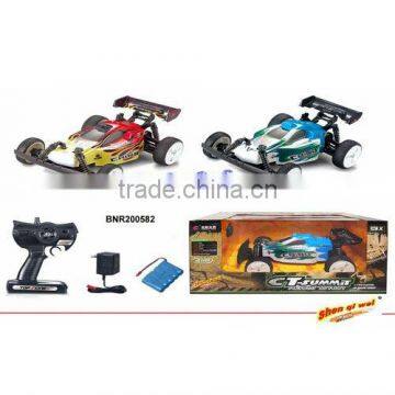 Good Selling 1:14 RC Car BNR200582