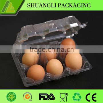 6 Cells Clear transparent disposable plastic egg tray