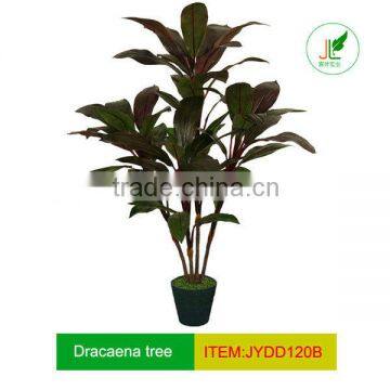 Fake Dracaena tree with width leaf for decoration