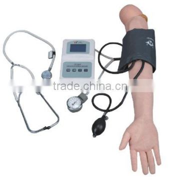 MCT-KN-021 Blood Pressure Training Arm Model