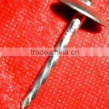 Botswana Market Galvanized Roofing Nail photo-4