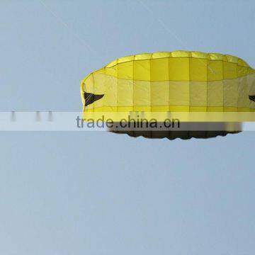 advertising power kite