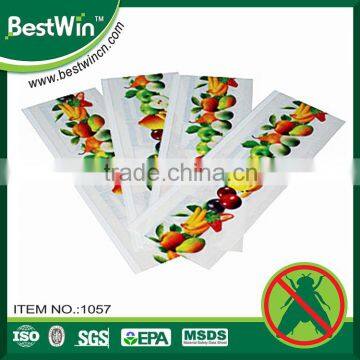 BSTW wlecome OEM ODM scent eliminate fruit fly trap