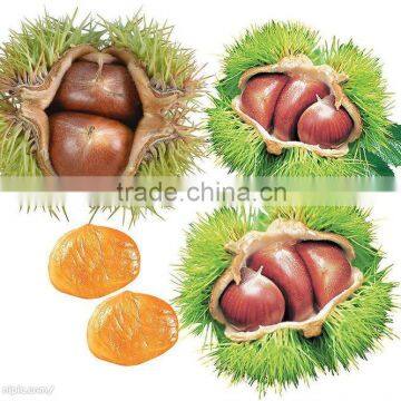 High Grade Dried Chestnuts/health Food/dried Chestnuts for Sale photo-5