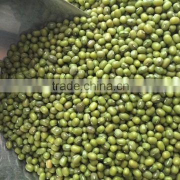 2015 crop Green Mung Beans, Chinese Green Mung Bean 3.0mm, 3.25mm