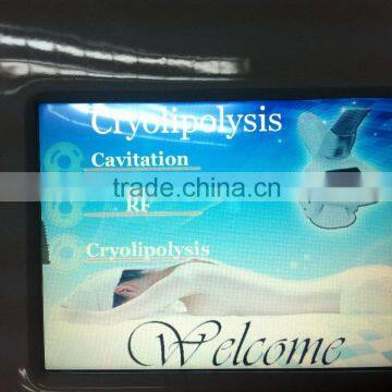 Body Contouring 2016 Cryolipolysis Fat Freezing Slimming For Cellulite Reduce Machine photo-6