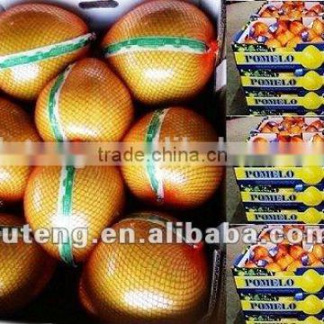 Fresh pomelo in half open box full open carton