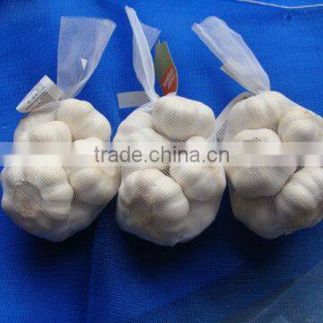 china garlic