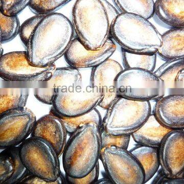 2013bulk watermelon seed cheap new for sale