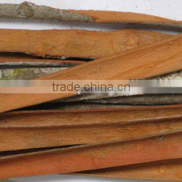 Split cassia