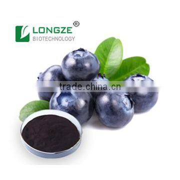 hot sale and best quality powder bilberry Extract Powder with Anti-oxidant Anthocyanidins 5-25%