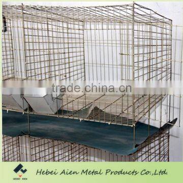 commercial rabbit cage 12cells farming in kenya