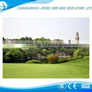 Natural Looking 50mm Height Artificial Grass for Garden