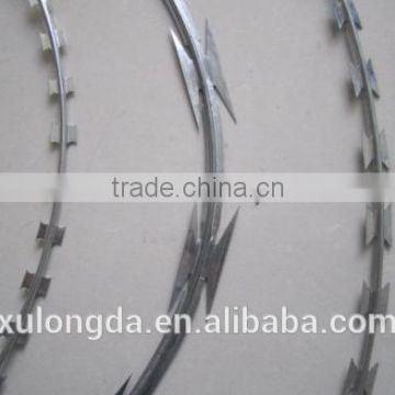 Concertina razor wire(20 years factory)