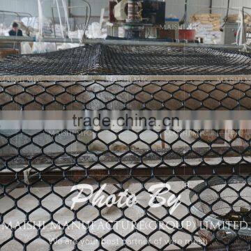 Hexagonal Shape Grass Protection Mesh photo-2