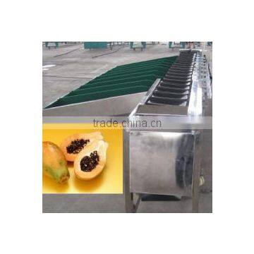 Automatic Fruit and Vegetable Washing Waxing and Grading Machine photo-2