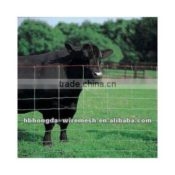 animal fence/cattle fence/sheep fence