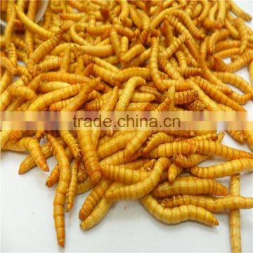 Microwave & Freeze Dried Tenebrio Molitor /Yellow Mealworms for Fish&bird photo-2