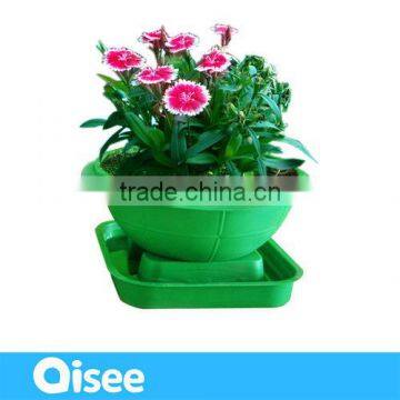 hydroponics plant growing for kids green globe
