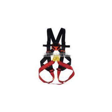 EN Standard Safety Harness photo-3