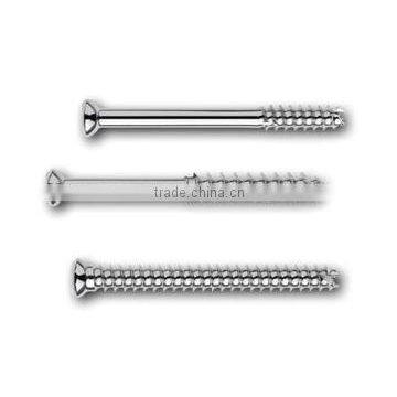 Bone Screws photo-4