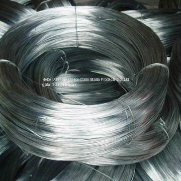 Electro Galvanized Iron Wire photo-2