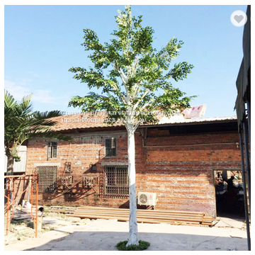 10meters height white trunk artificial birch tree