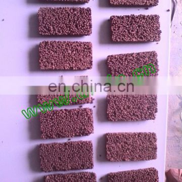 Crunchy Rice Candy Making Machine/Equipment